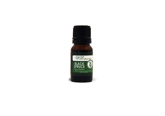 Black Spruce Essential Oil