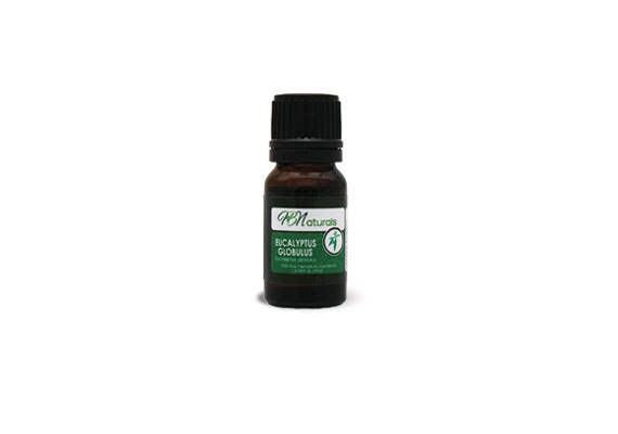 Eucalyptus Globulus Essential Oil