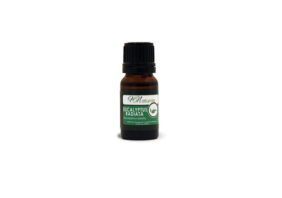 Eucalyptus Radiata Essential Oil