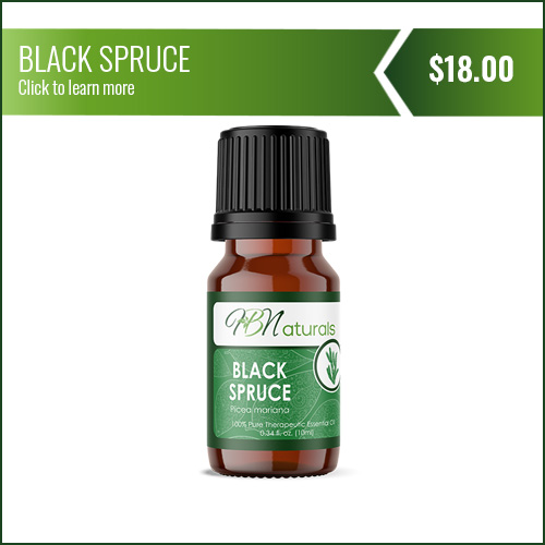 Black Spruce