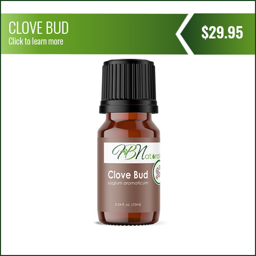 Clove Bud