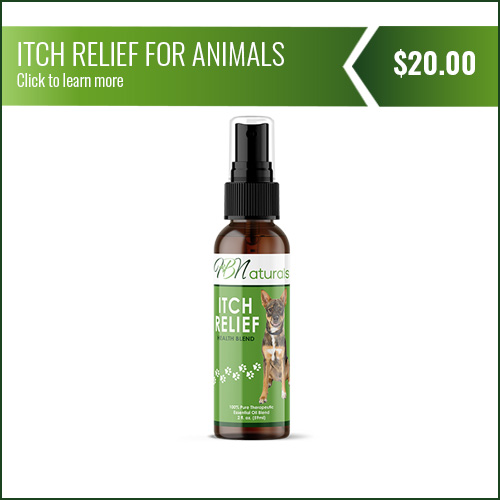 Itch Relief For Pets