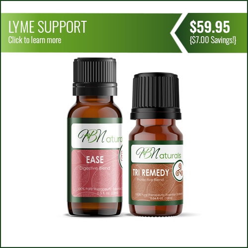 Lyme Support