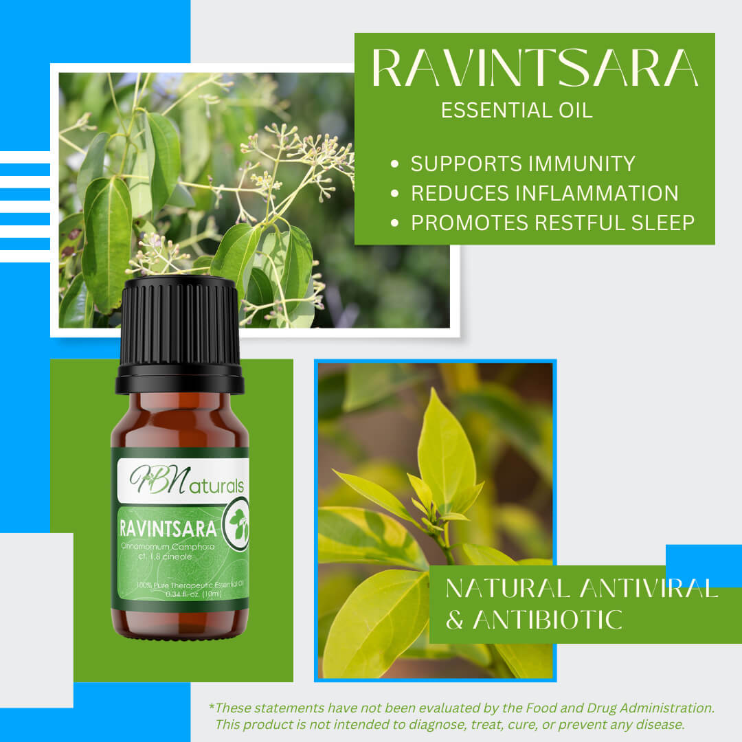 Ravintsara Essential Oil