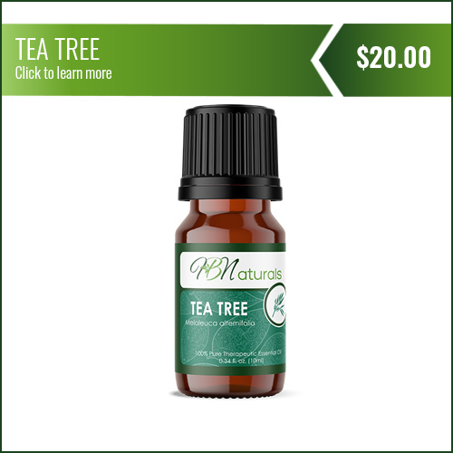 Tea Tree