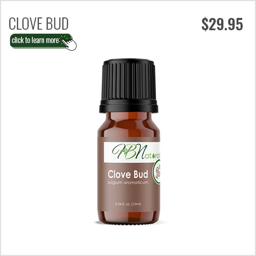 Clove Bud