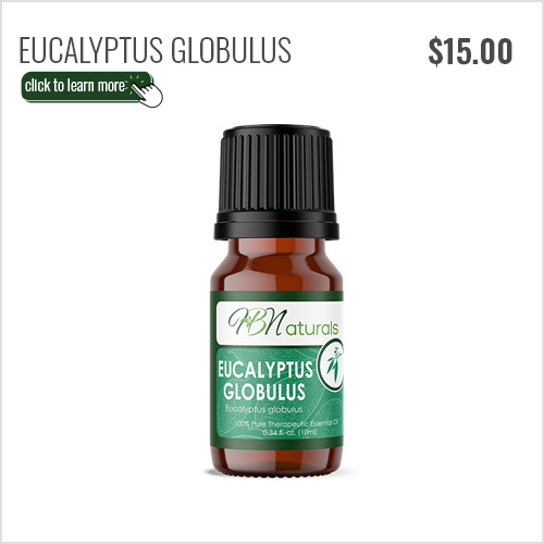 Eucalyptus Globulus