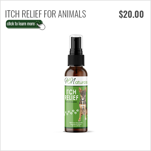Itch Relief For Pets